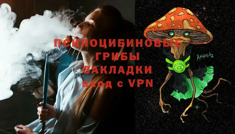 Псилоцибиновые грибы Cubensis  Ухта 